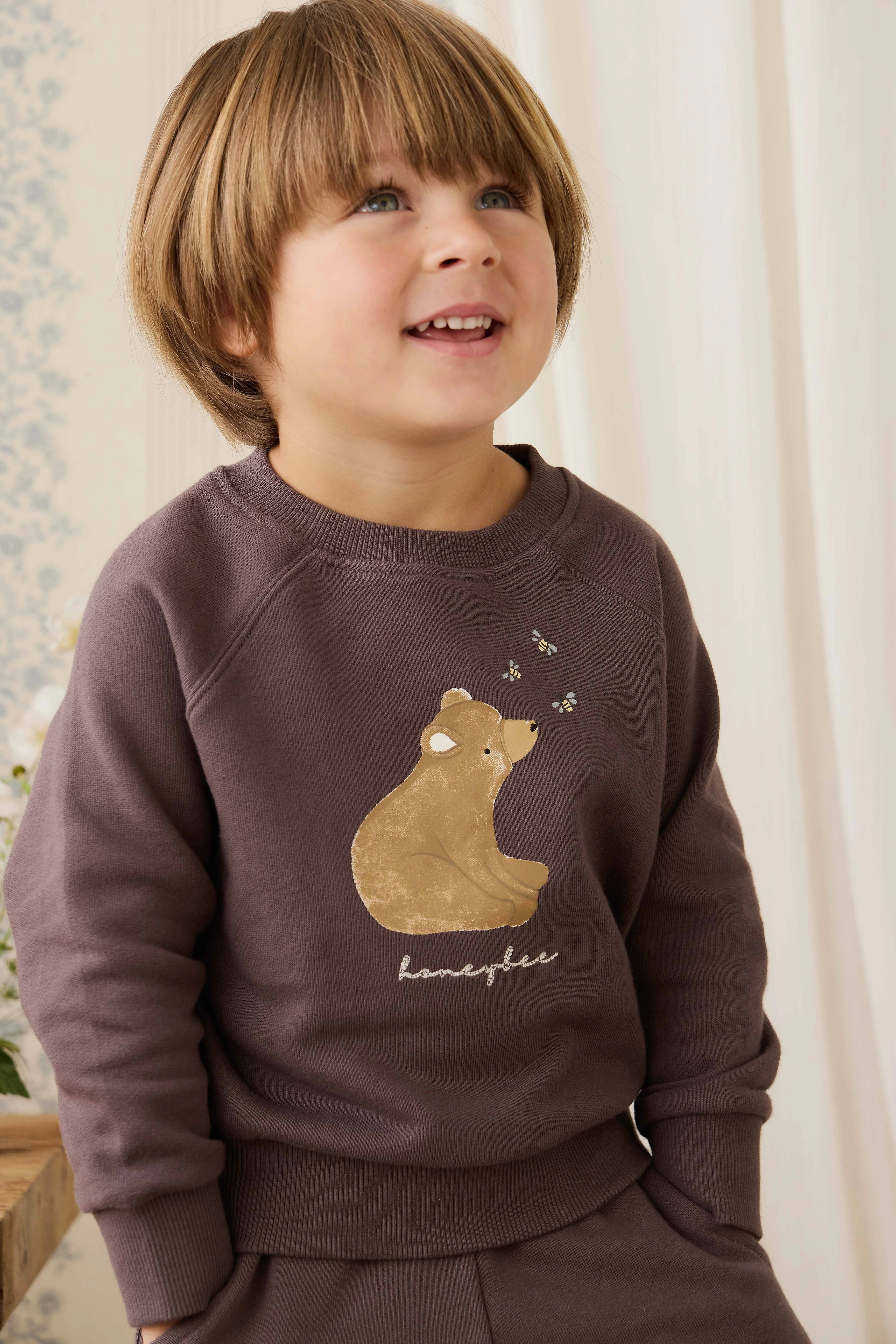 Organic Cotton Hayes Sweatshirt - Raku Honeybee Bear - Image 4