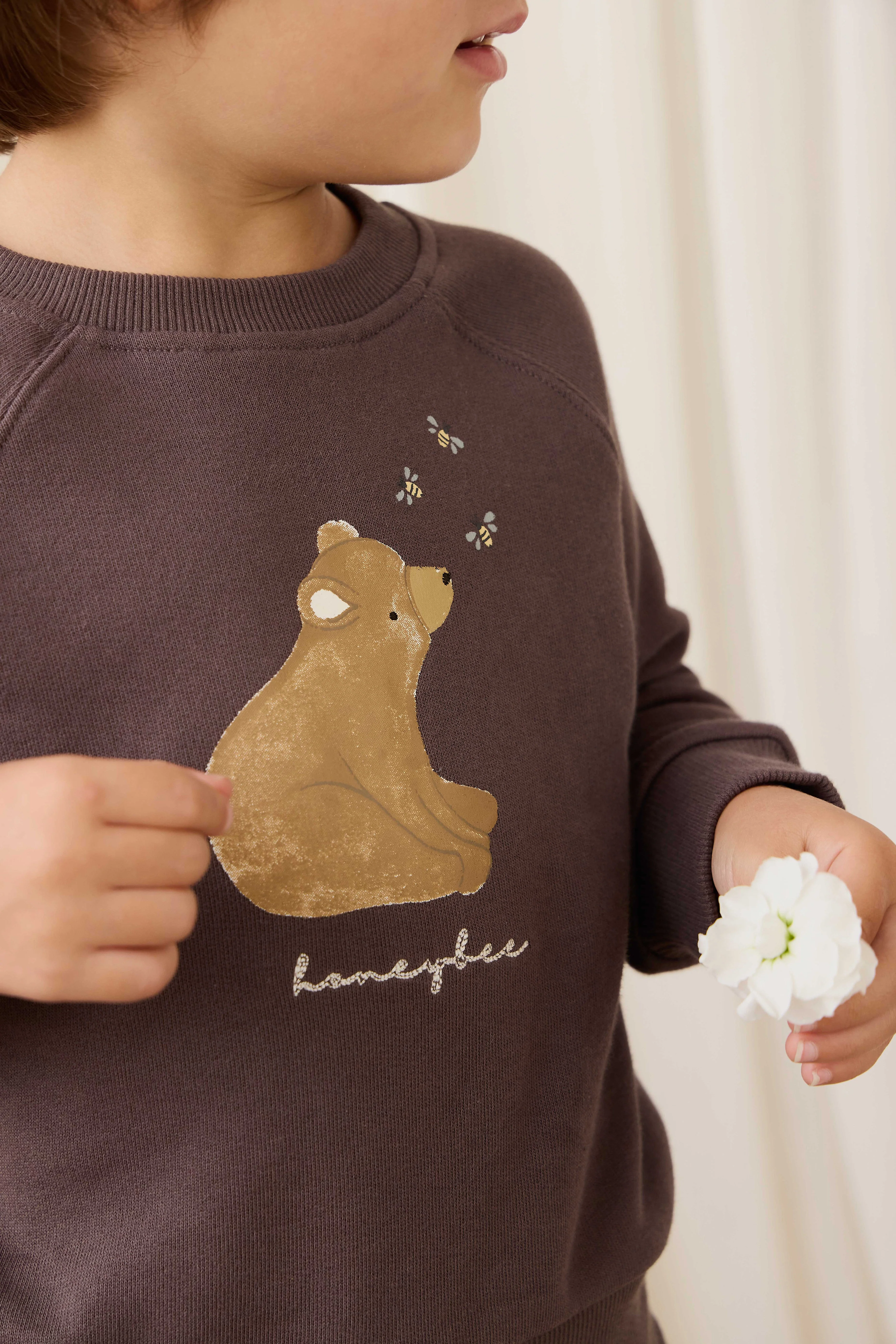 Organic Cotton Hayes Sweatshirt - Raku Honeybee Bear - Image 5