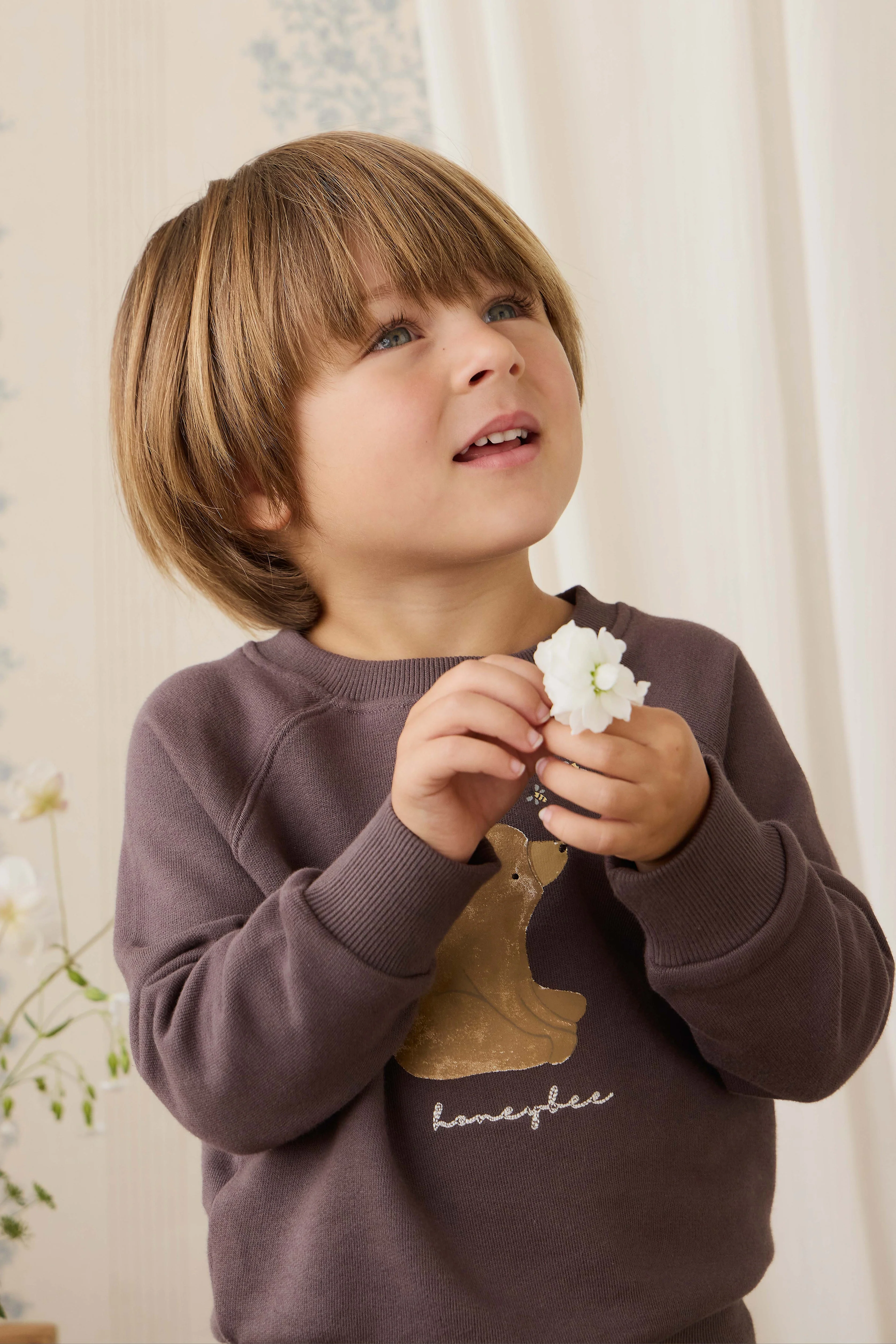 Organic Cotton Hayes Sweatshirt - Raku Honeybee Bear - Image 7
