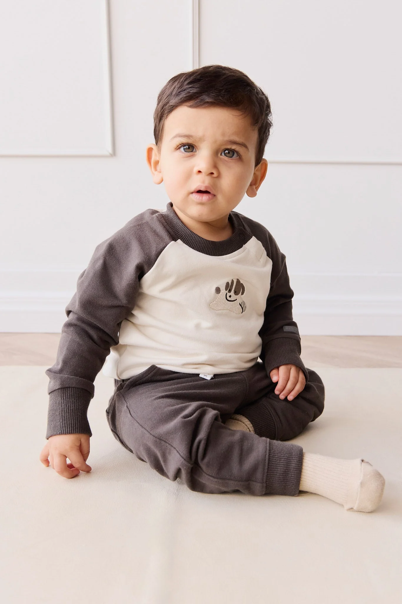 Organic Cotton Tao Sweatshirt - Pinecone/Cloud Sasha Puppy